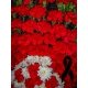 Вінок з 110 живих гвоздик та 8 гілок хризантем