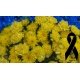 Корзина комбінована з синьої та жовтої гвоздики 