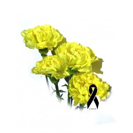 Вінок ритуальний з гвоздики