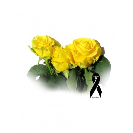 Вінок ритуальний із рози